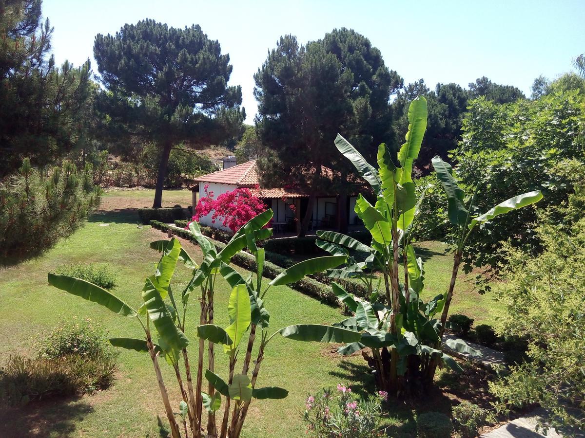 Hotel Dougas Arkoudi Dış mekan fotoğraf